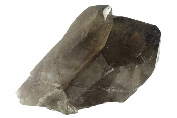 Dark Smoky Quartz Crystal Cluster - Brazil #234065